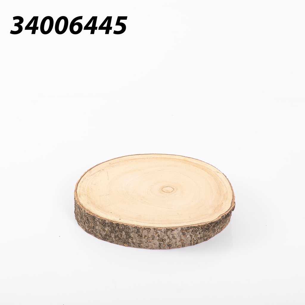 platane wood 20-25*h3cm